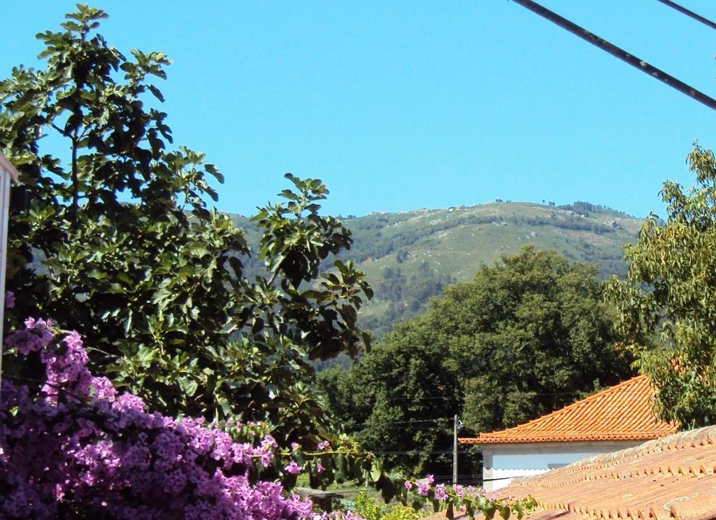 Casa Do Mosteiro De Refoios Do Lima 폰테 데 리마 객실 사진